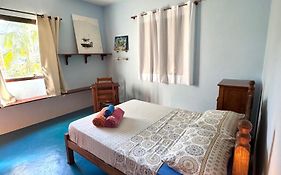 Casa da Floresta Pico da Águia